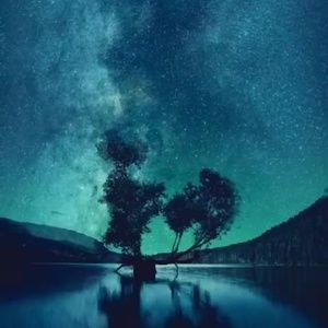 Meet your Posher, Dominic